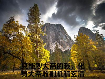 只能秒大帝的我，化身大帝收割机林玄清今日阅读更新-（只能秒大帝的我，化身大帝收割机林玄清）全文免费阅读-只能秒大帝的我，化身大帝收割机林玄清