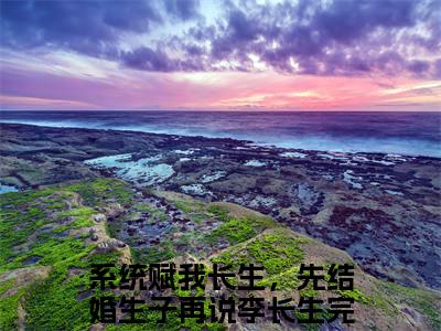 系统赋我长生，先结婚生子再说李长生（系统赋我长生，先结婚生子再说李长生）全文免费阅读大结局-系统赋我长生，先结婚生子再说李长生小说全文免费阅读最新章节列表