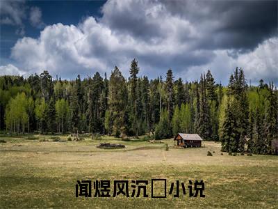 闻煜风沉婳(闻煜风沉婳)全文免费阅读无弹窗大结局_闻煜风沉婳