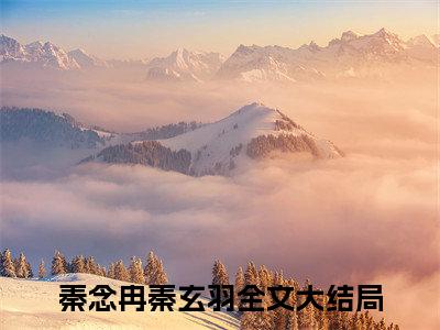 秦念冉秦玄羽主角是秦念冉秦玄羽全文免费阅读无弹窗-秦念冉秦玄羽最新章节列表-笔趣阁