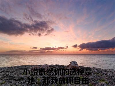既然你的选择是她，那我放你自由是什么小说顾南川沈千玥-（顾南川沈千玥全文阅读）最新章节列表