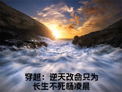 【新书】王浩李云龙全文全章节免费阅读-穿越：逆天改命只为长生不死杨凌晨 全文免费阅读无弹窗大结局