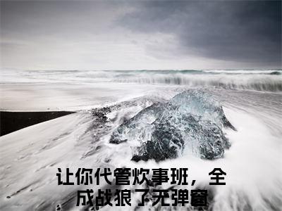 让你代管炊事班，全成战狼了小说完整版阅读-小说王浩李云龙全文免费阅读