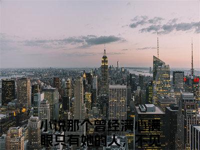 顾南辰沈白意热门推荐小说（那个曾经满心满眼只有她的人，不见了）精彩章节阅读-顾南辰沈白意全文免费在线阅读_笔趣阁