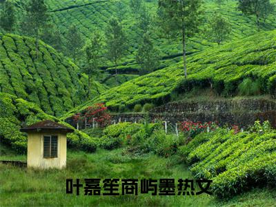 叶嘉笙商屿墨全文免费阅读无弹窗大结局_ (叶嘉笙商屿墨)最新章节列表笔趣阁