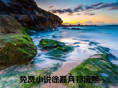 徐嘉月祁沅熙徐嘉月祁沅熙完整全文在线阅读 徐嘉月祁沅熙全文大结局阅读无弹窗