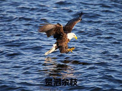 贺泗余枝精彩小说贺泗余枝大结局全本免费阅读