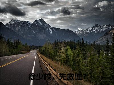 徐少校，先救谁？小说免费阅读无弹窗,小说名字是：苏思妤徐庭深的小说在线阅读无删减