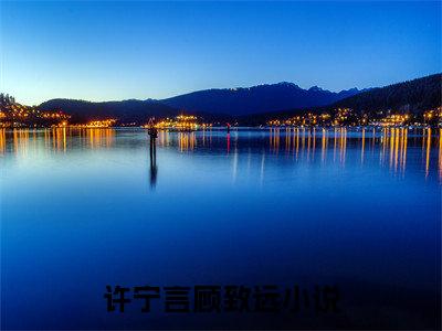 许宁言顾致远（许宁言顾致远)全文免费阅读无弹窗大结局_许宁言顾致远最新章节列表_笔趣阁