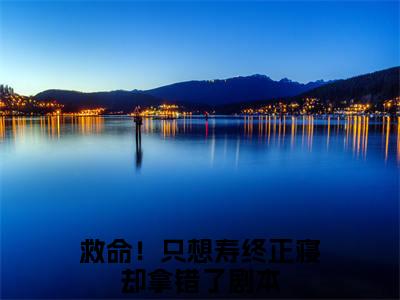 陆锦瑟(救命！只想寿终正寝却拿错了剧本)全文免费阅读无弹窗_陆锦瑟（救命！只想寿终正寝却拿错了剧本）全文阅读-笔趣阁（陆锦瑟）