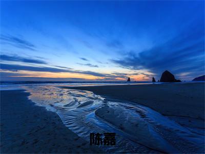 民国太子陈嘉抖音新书热荐-小说民国太子全文完整版免费阅读