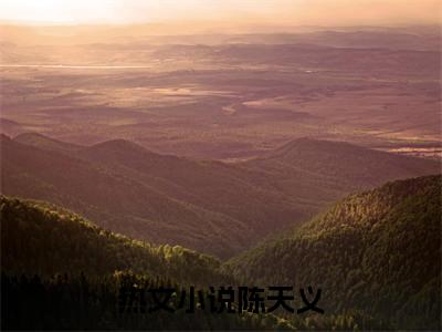 陈天义小说在线阅读全文免费阅读无弹窗大结局_港综：从摸鱼卧底到港城大亨小说免费最新章节列表_笔趣阁