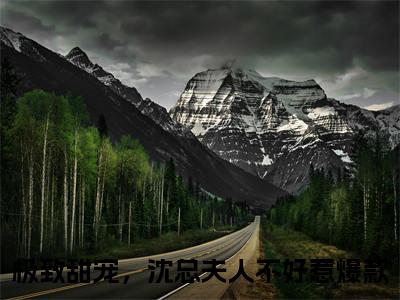 沈逸尘秦嫣最新热门小说-（极致甜宠，沈总夫人不好惹）最新章节免费阅读