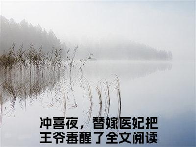 冲喜夜，替嫁医妃把王爷毒醒了（慕晚吟萧惊寒）小说最新推荐-慕晚吟萧惊寒冲喜夜，替嫁医妃把王爷毒醒了小说在线分享