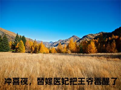 冲喜夜，替嫁医妃把王爷毒醒了小说在线阅读全文无弹窗_慕晚吟萧惊寒小说最新全文完整无删减版