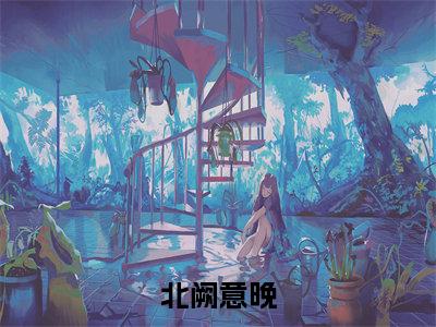 庄晚傅北阙（北阙意晚）小说全文免费阅读无弹窗_（北阙意晚）庄晚傅北阙小说全文免费阅读最新章节列表笔趣阁