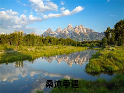 桑沐季遇精彩章节试读-桑沐季遇虐心小说免费阅读