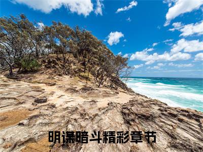 方正全文(明谋暗斗)小说免费阅读无弹窗大结局_ 方正全文无弹窗完整版阅读