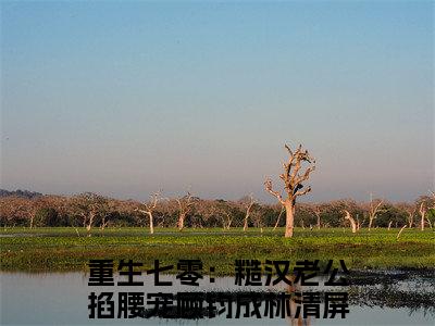 顾钧成林清屏（重生七零：糙汉老公掐腰宠）全文免费阅读无弹窗大结局_顾钧成林清屏小说精彩免费试读