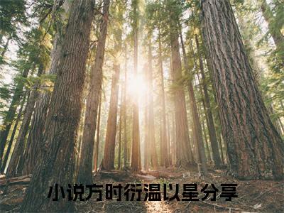 方时衍温以星免费阅读无弹窗（方时衍温以星）全文免费阅读无弹窗大结局_(方时衍温以星)方时衍温以星最新章节列表_笔趣阁（方时衍温以星）