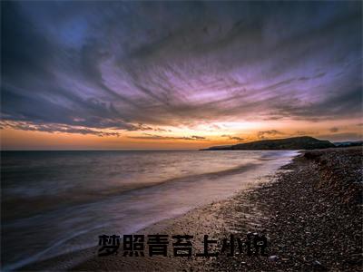 李昱迟陈伽雯在线阅读（梦照青苔上）全文免费阅读无弹窗大结局_梦照青苔上最新章节列表笔趣阁（李昱迟陈伽雯）