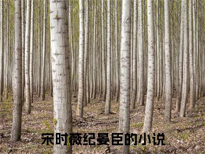 宋时薇纪晏臣（宋时薇纪晏臣）最新章节在线阅读-小说宋时薇纪晏臣完整版阅读