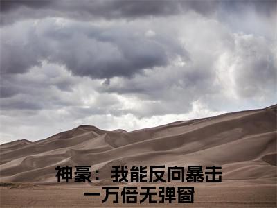 小说林宾(神豪：我能反向暴击一万倍)免费阅读-小说林宾全文在线赏析