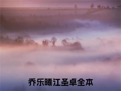 乔乐曦江圣卓小说大结局-精彩美文乔乐曦江圣卓免费阅读