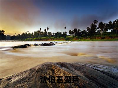 沈伯言盛月免费阅读（沈伯言盛月）全文免费阅读无弹窗大结局_沈伯言盛月免费阅读最新章节列表_笔趣阁（沈伯言盛月）