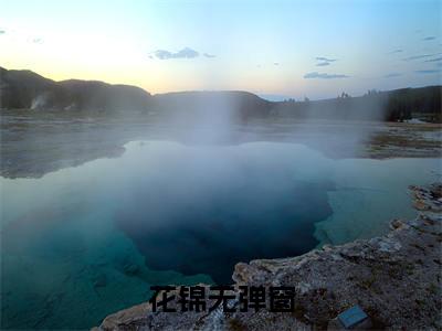 花锦（开局古代：带着家人在天灾中躺赢全文在线阅读）-花锦(开局古代：带着家人在天灾中躺赢)免费阅读无删减大结局