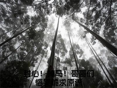 叶棠薄迟宴免费阅读无弹窗，小说封心！掉马！哥哥们悔哭跪求原谅大结局全文免费阅读