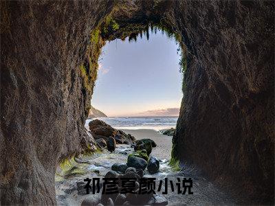 小说免费阅读-抖音新书热荐祁彦夏颜
