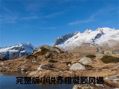 主角为幸好，你又回到了我的身边的小说精彩阅读-苏栩凝顾风遇最新章节阅读