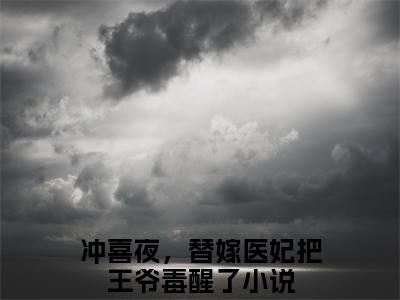 主角是冲喜夜，替嫁医妃把王爷毒醒了的小说叫什么名字 慕晚吟萧惊寒小说免费阅读