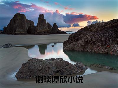 谢琰谭欣(谢琰谭欣)全文免费阅读无弹窗大结局_(谢琰谭欣免费阅读全文大结局)最新章节列表_笔趣阁（谢琰谭欣）