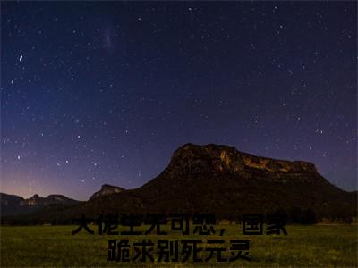 大佬生无可恋，国家跪求别死元灵（大佬生无可恋，国家跪求别死元灵）全文免费阅读无弹窗大结局_(大佬生无可恋，国家跪求别死元灵免费阅读)大佬生无可恋，国家跪求别死元灵无弹窗最新章节列表_笔趣阁