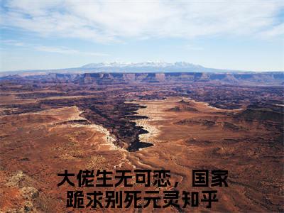 大佬生无可恋，国家跪求别死元灵（大佬生无可恋，国家跪求别死元灵)全文免费阅读无弹窗大结局_大佬生无可恋，国家跪求别死元灵最新章节列表_笔趣阁