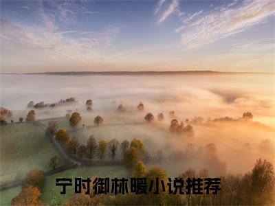 小说（宁时御林暖）免费阅读-小说（宁先生，宁太太又有了）宁时御林暖全文在线赏析最新章节列表_笔趣阁