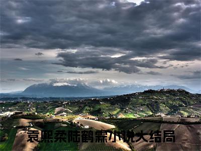 袁熙柔陆鹤霖小说最新章节（袁熙柔陆鹤霖）全文免费阅读无弹窗大结局_袁熙柔陆鹤霖免费阅读（袁熙柔陆鹤霖小说）