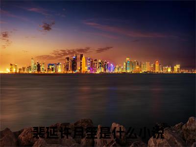 主角裴延许月笙小说免费阅读全文裴延许月笙-裴延许月笙小说番外裴延许月笙全文阅读