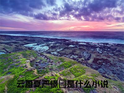 云盈夏严憬堔在线阅读（诱他溺宠！夫人娇软妩媚，权臣日日掐腰吻）全文免费阅读大结局_云盈夏严憬堔免费最新章节列表_笔趣阁