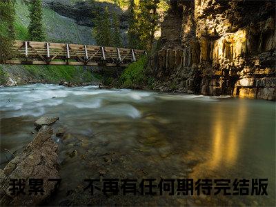 我累了，不再有任何期待全文免费阅读无弹窗大结局_桑梦季斯汀最新章节列表_笔趣阁