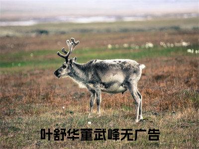 叶舒华董武峰(叶舒华董武峰)全文免费阅读无弹窗大结局_ (叶舒华董武峰小说免费阅读)最新章节列表_笔趣阁（叶舒华董武峰）