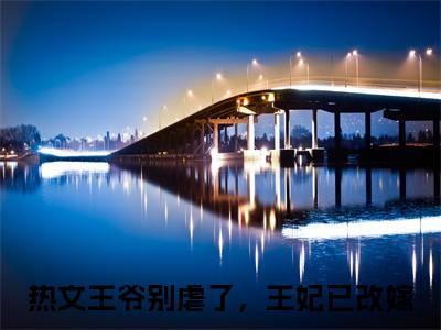 王爷别虐了，王妃已改嫁（顾千舟君墨沉）全文无弹窗阅读-精彩小说顾千舟君墨沉（王爷别虐了，王妃已改嫁）