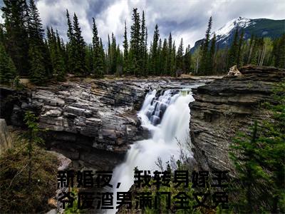 姜飞飞顾修衍（新婚夜，我转身嫁王爷废渣男满门全文在线阅读）-姜飞飞顾修衍(新婚夜，我转身嫁王爷废渣男满门)免费阅读无删减大结局