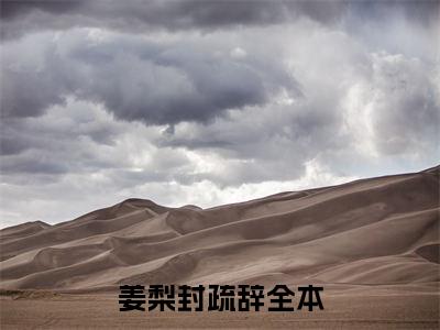 姜梨封疏辞小说全文阅读-（姜梨封疏辞）小说全文免费阅读无弹窗大结局