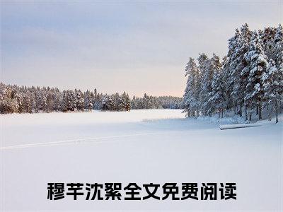 穆芊沈絮小说全文免费阅读 穆芊沈絮最新章节
