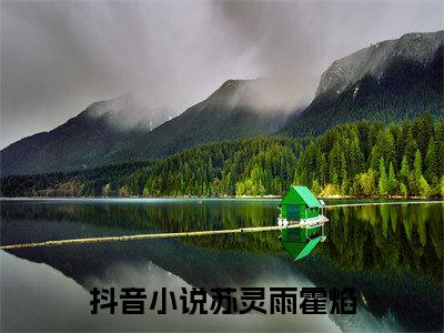 苏灵雨霍焰小说最新章节免费阅读-苏灵雨霍焰小说全文无删减版