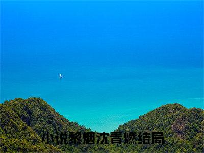 黎烟沈青燃热门小说全文免费阅读无弹窗大结局-黎烟沈青燃全文无弹窗免费阅读大结局