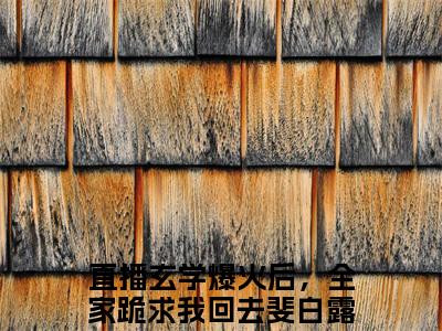 直播玄学爆火后，全家跪求我回去斐白露在线阅读全文免费阅读无弹窗大结局-直播玄学爆火后，全家跪求我回去斐白露最新章节列表-笔趣阁